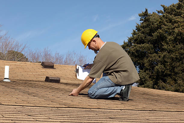 Best Asphalt Shingle Roofing  in Butte, AK